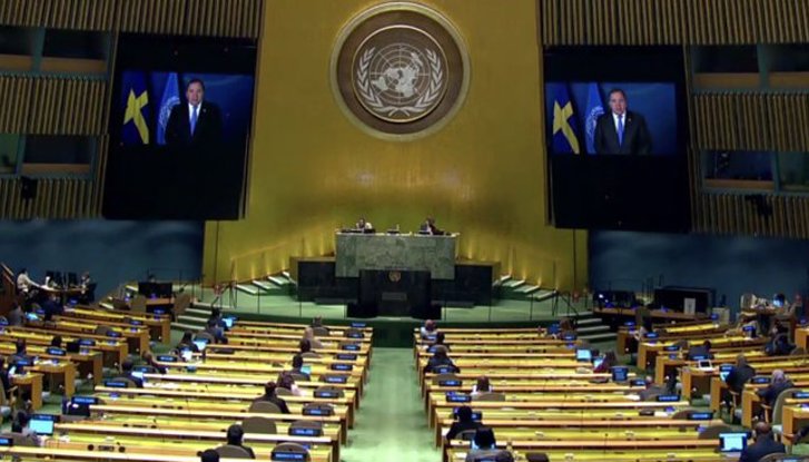 Image: Sweden in UN