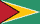 Guyanas flagga