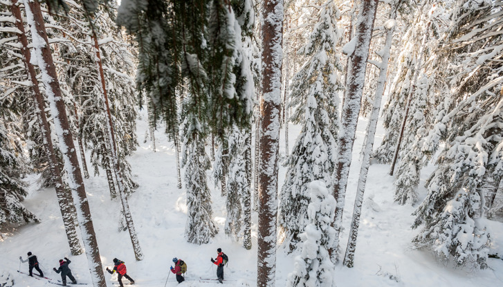 Sross country skiing