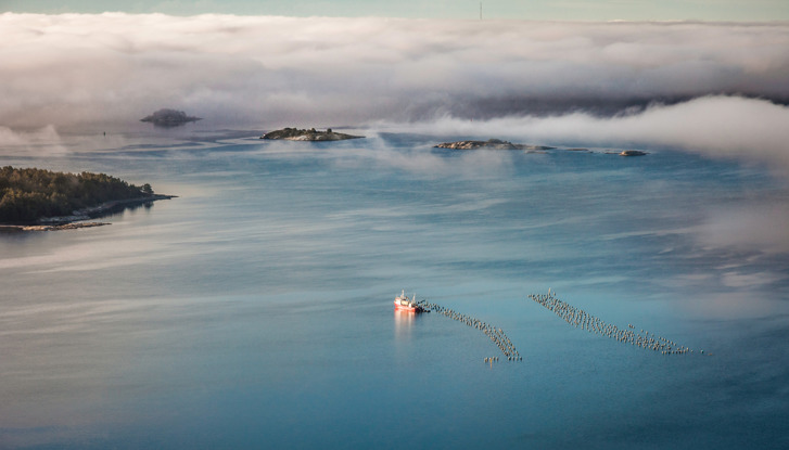 A landscape picture with an ocean